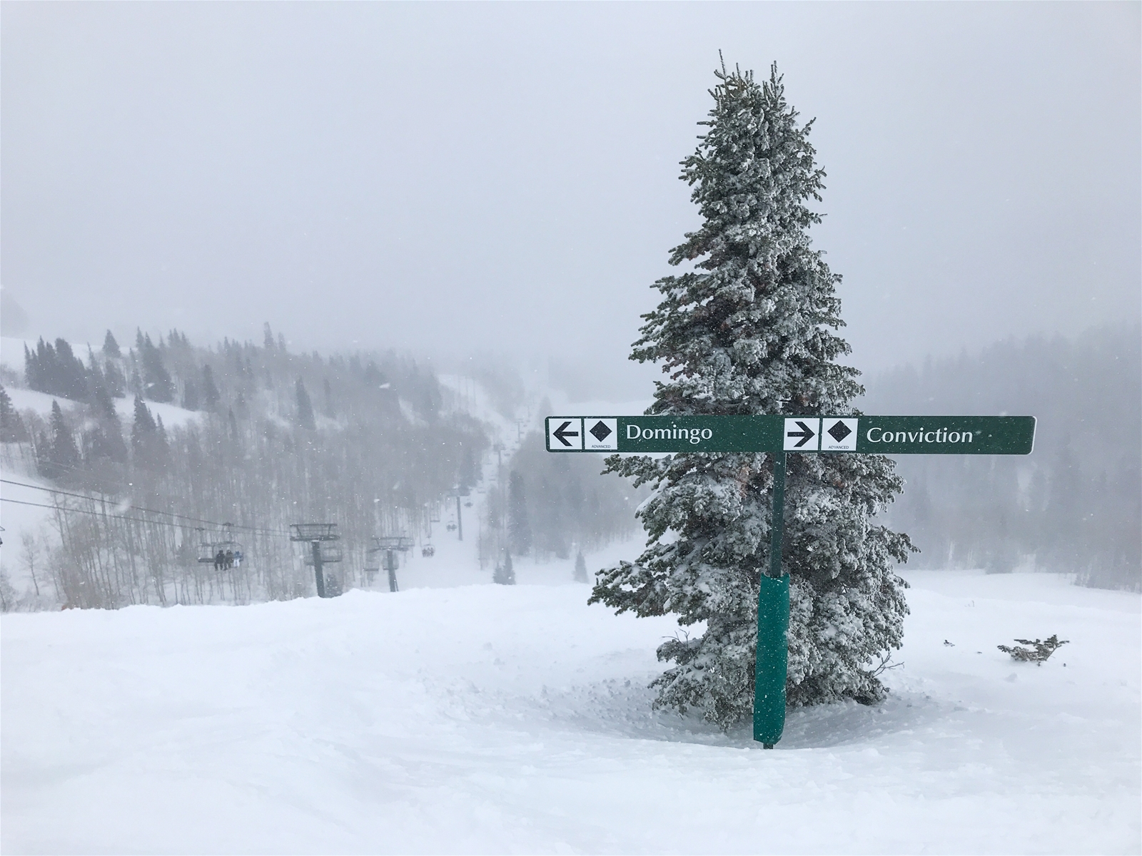 Person Skiing in Powder at Deer Valley